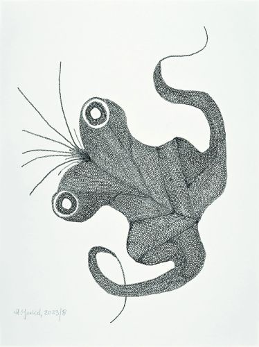 Hildegard Jaeckel Plankton