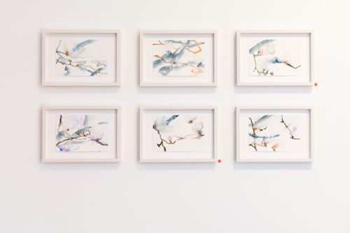 Judit Rozsas 011